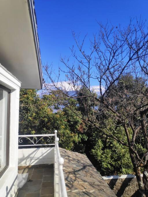Ghost Villa Pokhara With Mountain View 20Mins From Main Area Ranipauwa Luaran gambar