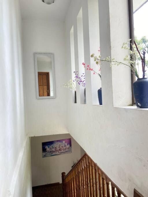 Ghost Villa Pokhara With Mountain View 20Mins From Main Area Ranipauwa Luaran gambar